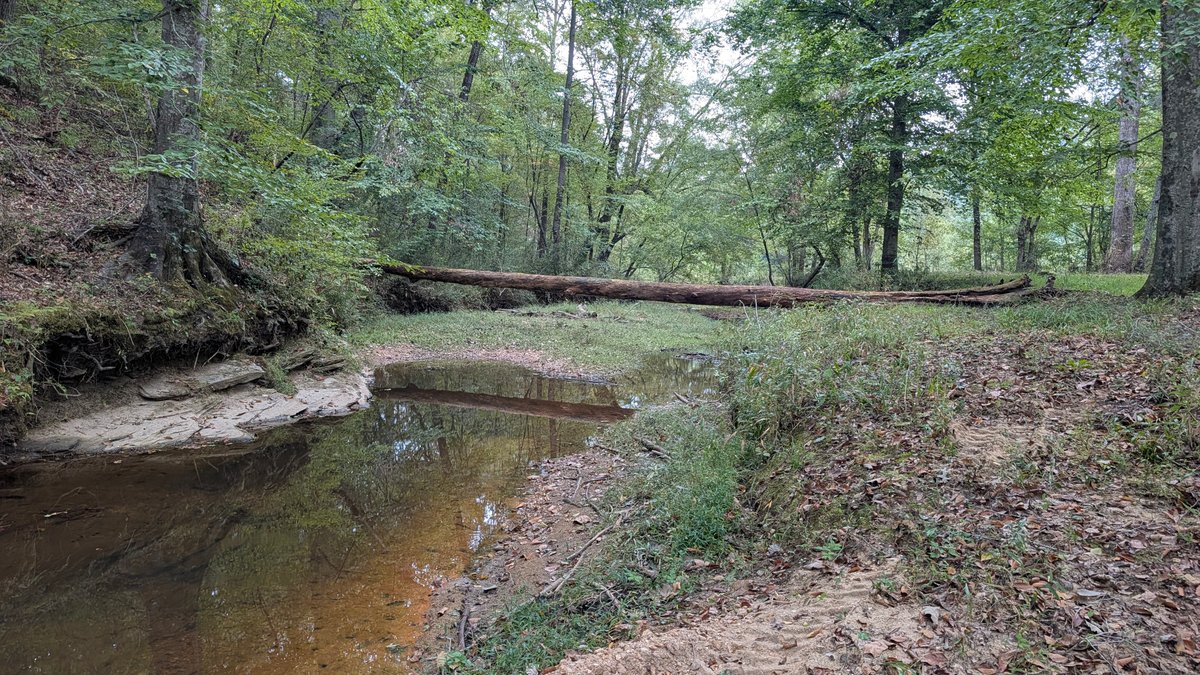 82.7± Acres Heflin, Cleburne Co