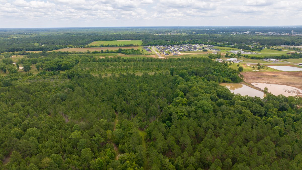 Image for Prime Residential Development Acreage 40.74 +/- Acres – (Zoned R-2) OAKLAND PLANTATION in Lee County, Georgia