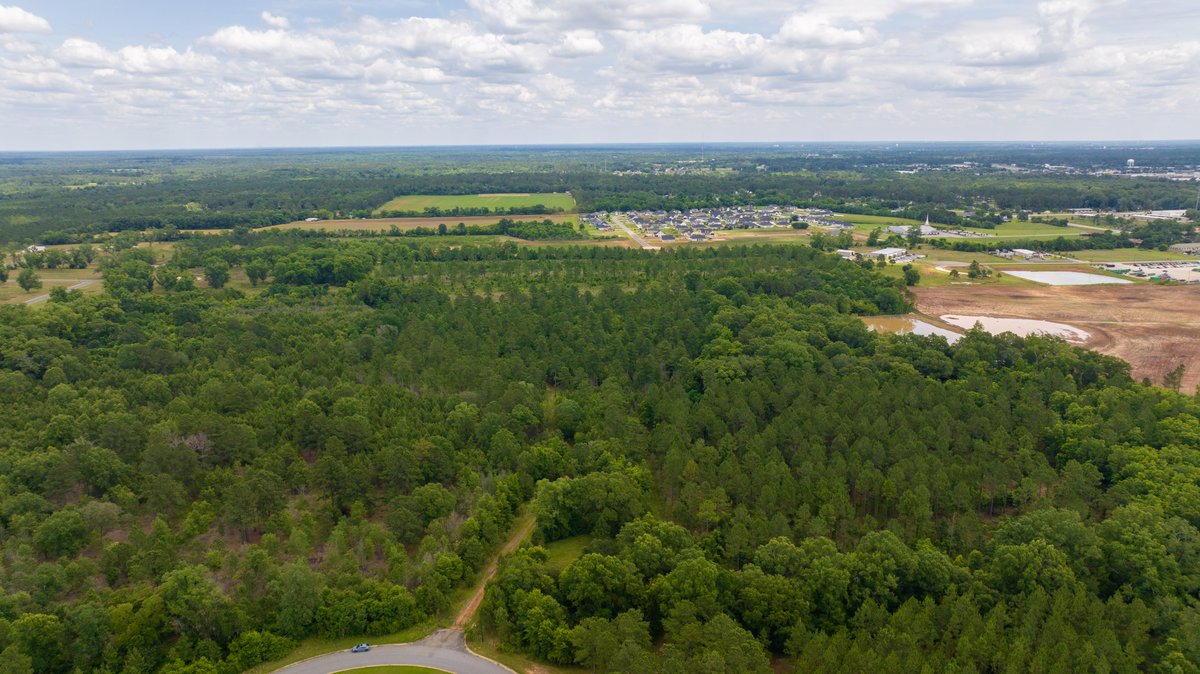 Image for Prime Residential Development Acreage 40.74 +/- Acres – (Zoned R-2) OAKLAND PLANTATION in Lee County, Georgia