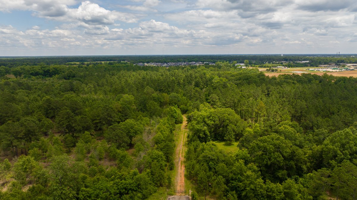 Image for Prime Residential Development Acreage 40.74 +/- Acres – (Zoned R-2) OAKLAND PLANTATION in Lee County, Georgia