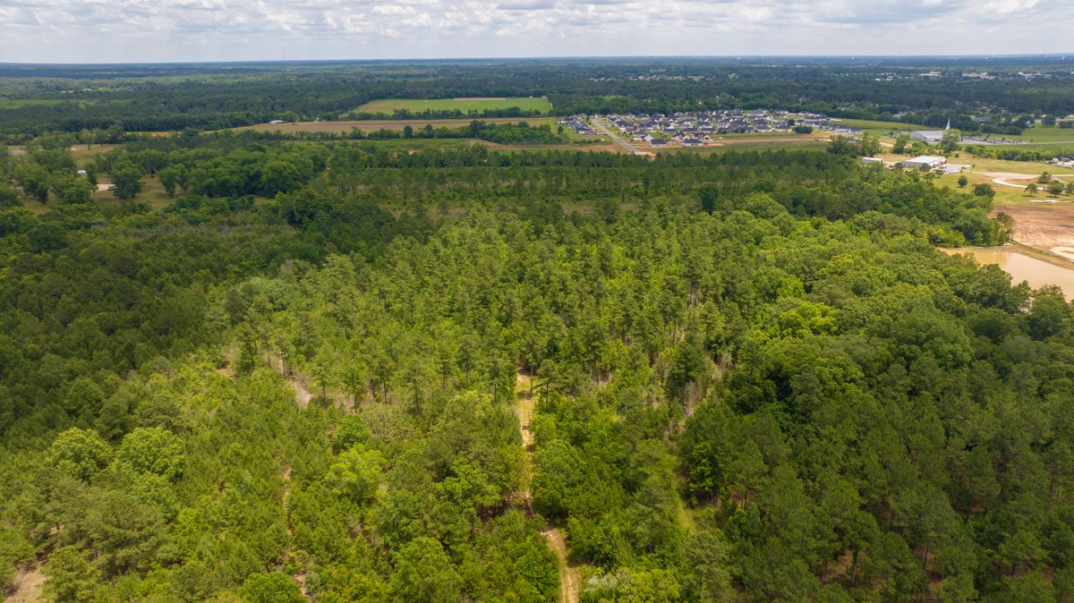 Image for Prime Residential Development Acreage 40.74 +/- Acres – (Zoned R-2) OAKLAND PLANTATION in Lee County, Georgia