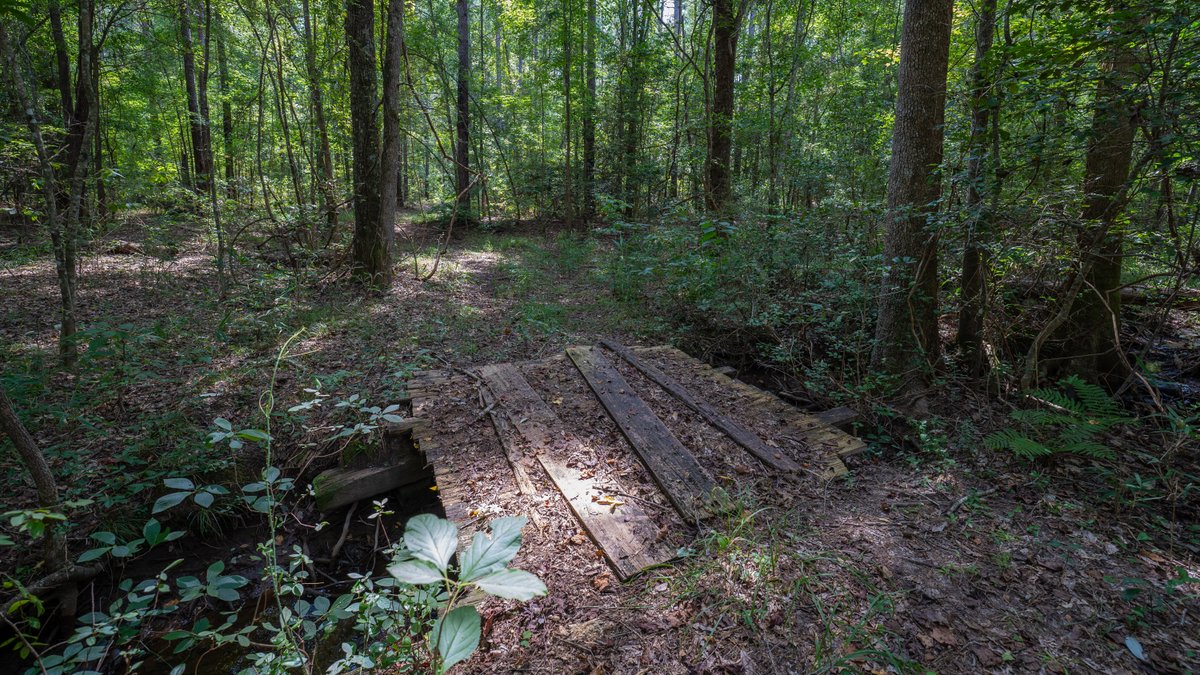 Image for 220+/- Acres - Camp Creek Place - Macon County, GA