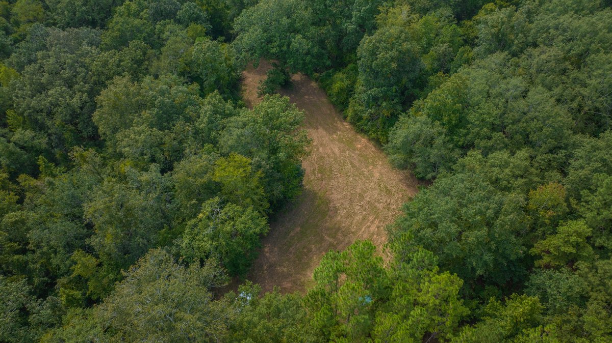 Image for 220+/- Acres - Camp Creek Place - Macon County, GA