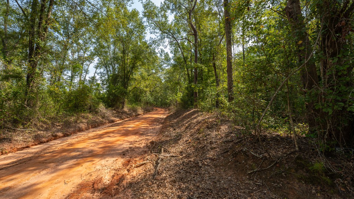 Image for 220+/- Acres - Camp Creek Place - Macon County, GA