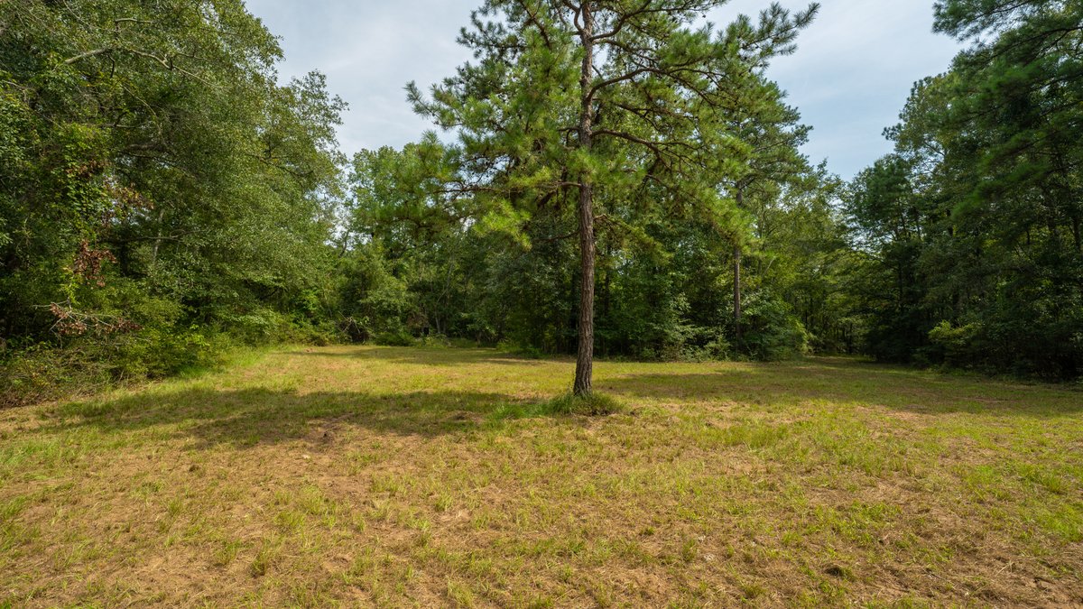 Image for 220+/- Acres - Camp Creek Place - Macon County, GA