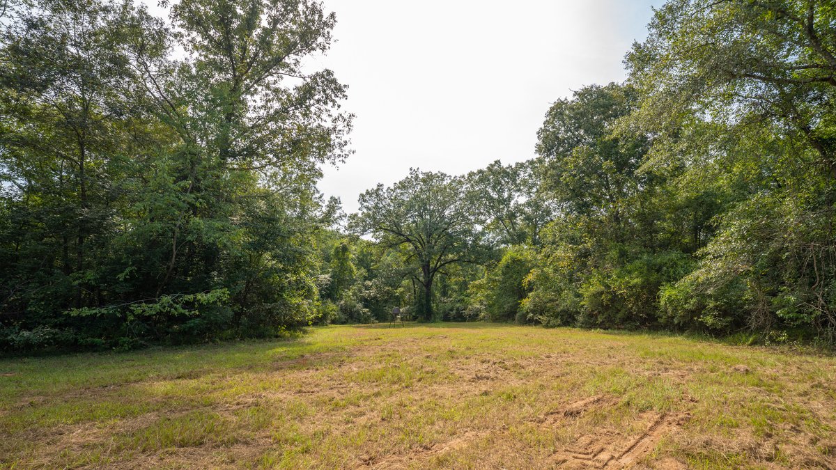 Image for 220+/- Acres - Camp Creek Place - Macon County, GA