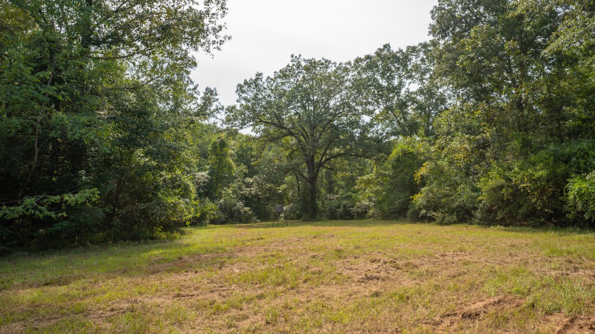 Image for 220+/- Acres - Camp Creek Place - Macon County, GA