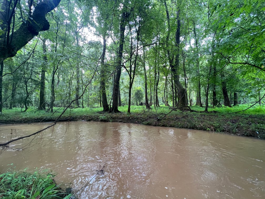 Image for 220+/- Acres - Camp Creek Place - Macon County, GA