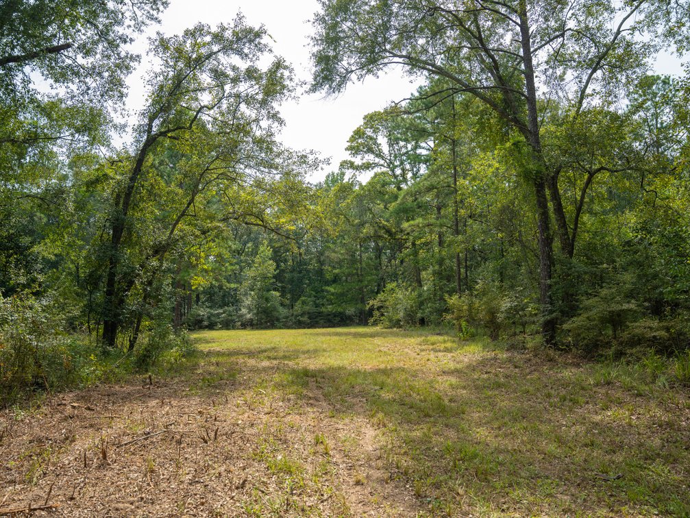 Image for 220+/- Acres - Camp Creek Place - Macon County, GA