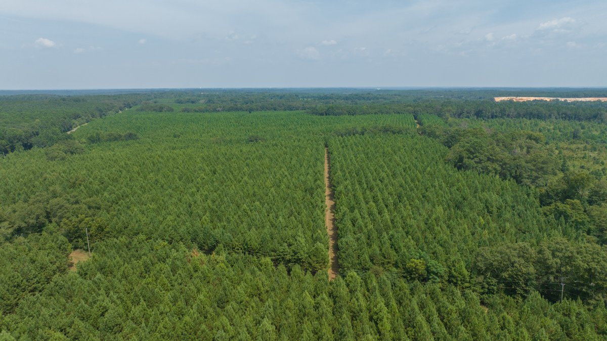 Image for 194+/- Acres - Holloway Place - Macon, Schley, & Sumter Counties, GA