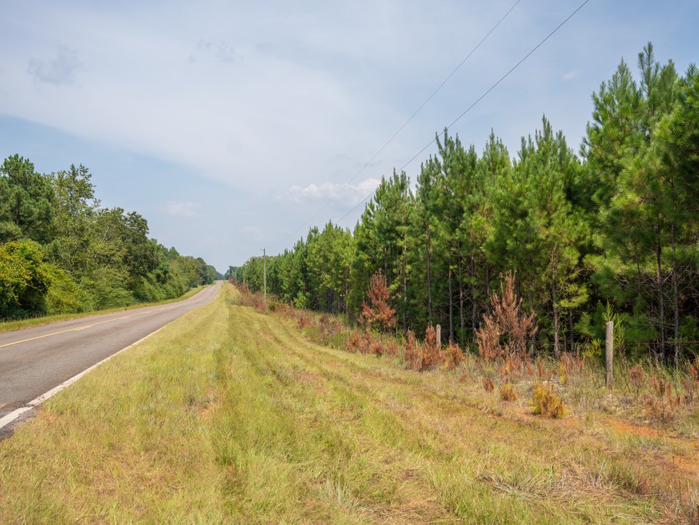 Image for 194+/- Acres - Holloway Place - Macon, Schley, & Sumter Counties, GA