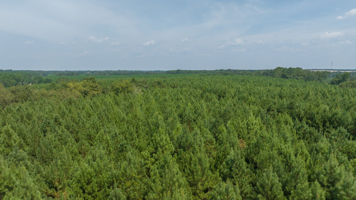Image for 194+/- Acres - Holloway Place - Macon, Schley, & Sumter Counties, GA