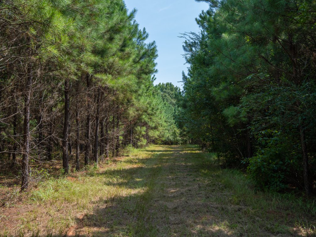 Image for 194+/- Acres - Holloway Place - Macon, Schley, & Sumter Counties, GA