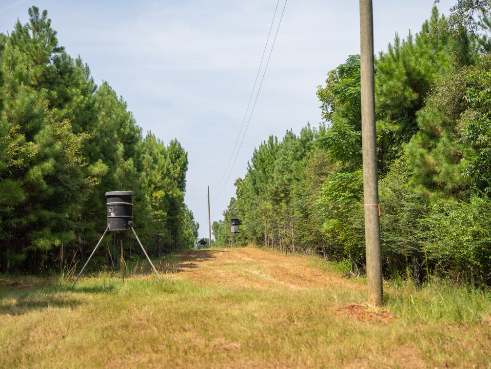 Image for 194+/- Acres - Holloway Place - Macon, Schley, & Sumter Counties, GA