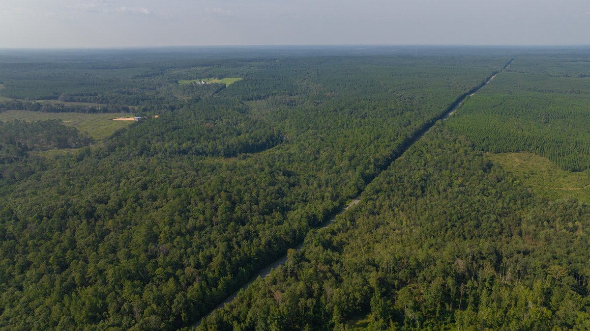 Image for 136+/- Acres - Shipp Place - Macon County, GA