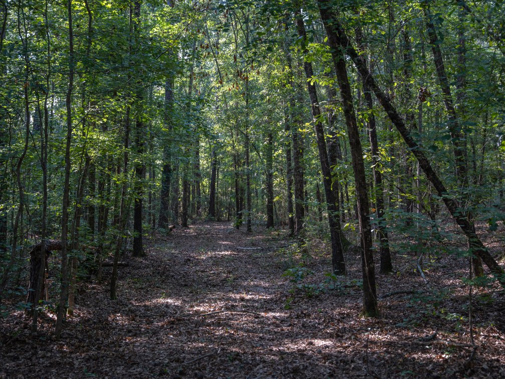 Image for 136+/- Acres - Shipp Place - Macon County, GA