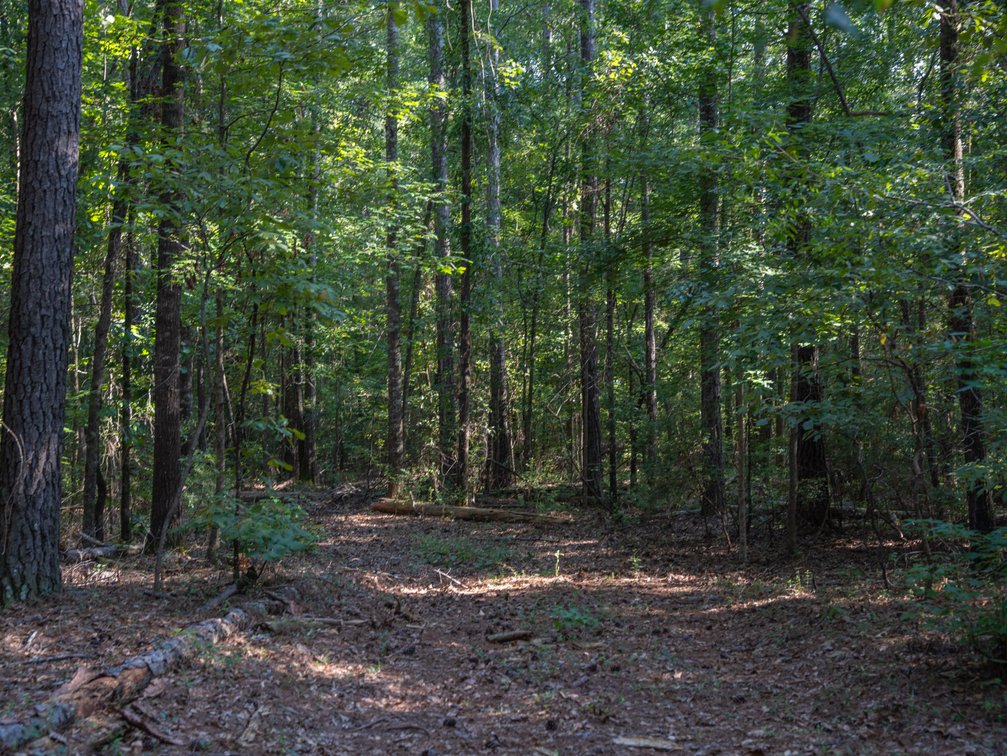 Image for 136+/- Acres - Shipp Place - Macon County, GA