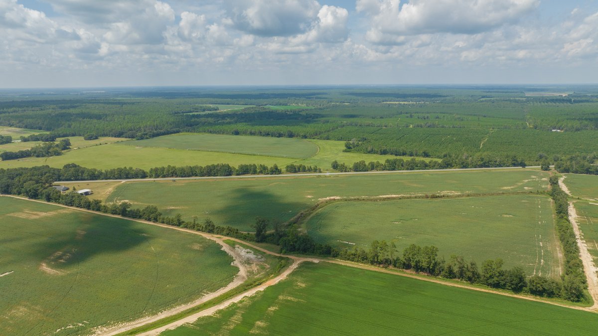 Image for 202+/- Total Acres - Prime Irrigated Row Crop Farmland