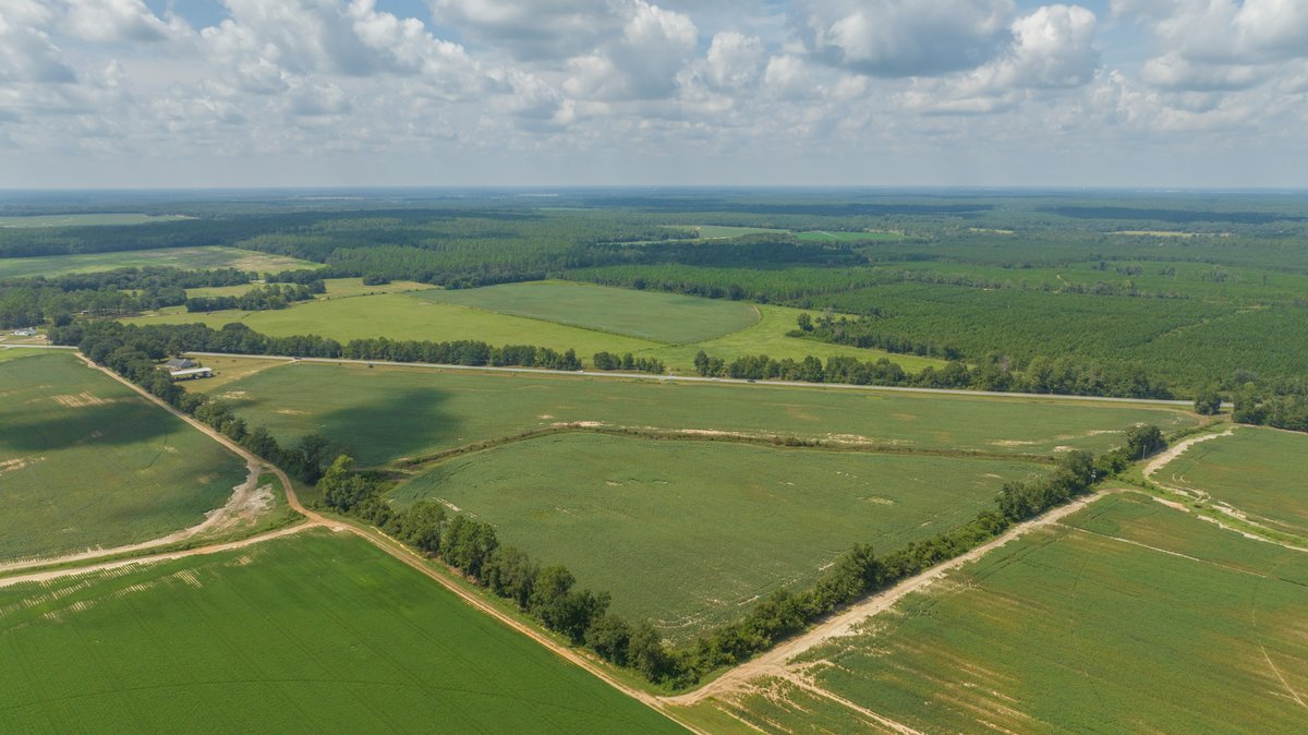 Image for 202+/- Total Acres - Prime Irrigated Row Crop Farmland