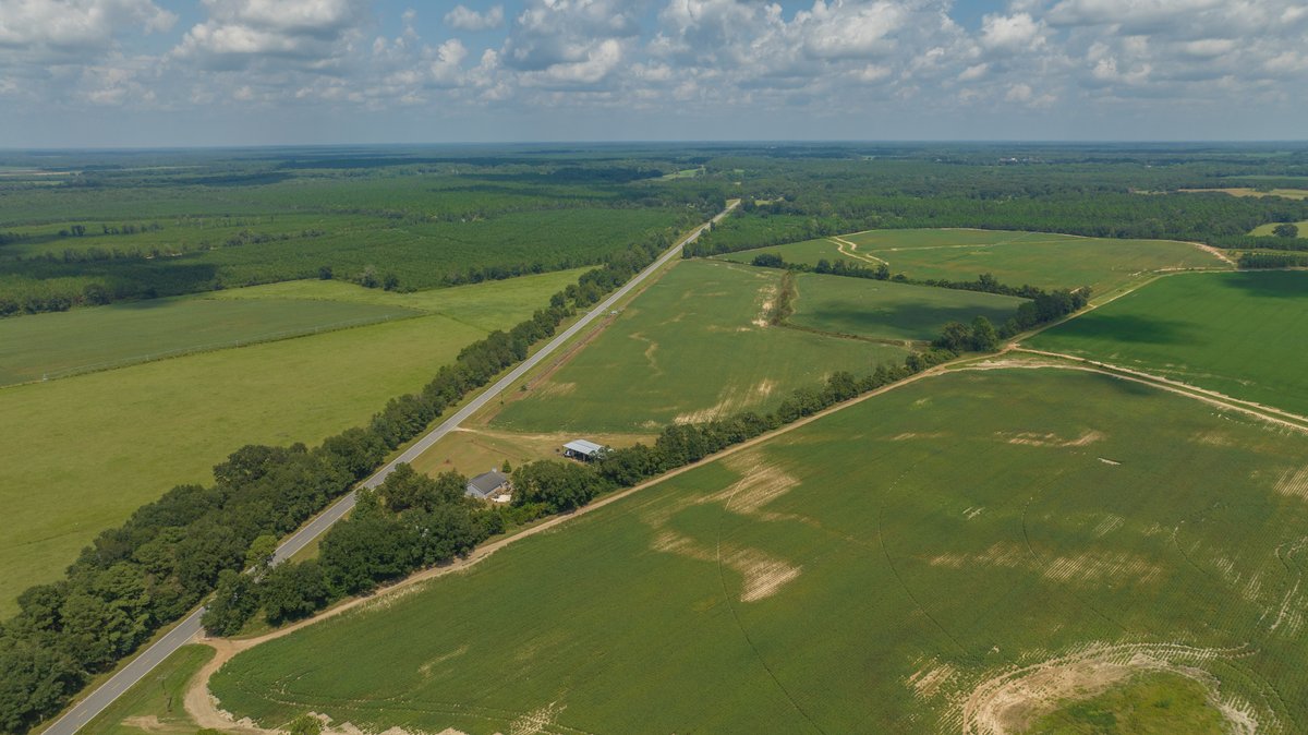 Image for 202+/- Total Acres - Prime Irrigated Row Crop Farmland