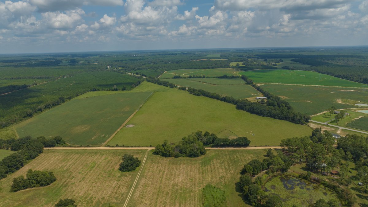 Image for 202+/- Total Acres - Prime Irrigated Row Crop Farmland