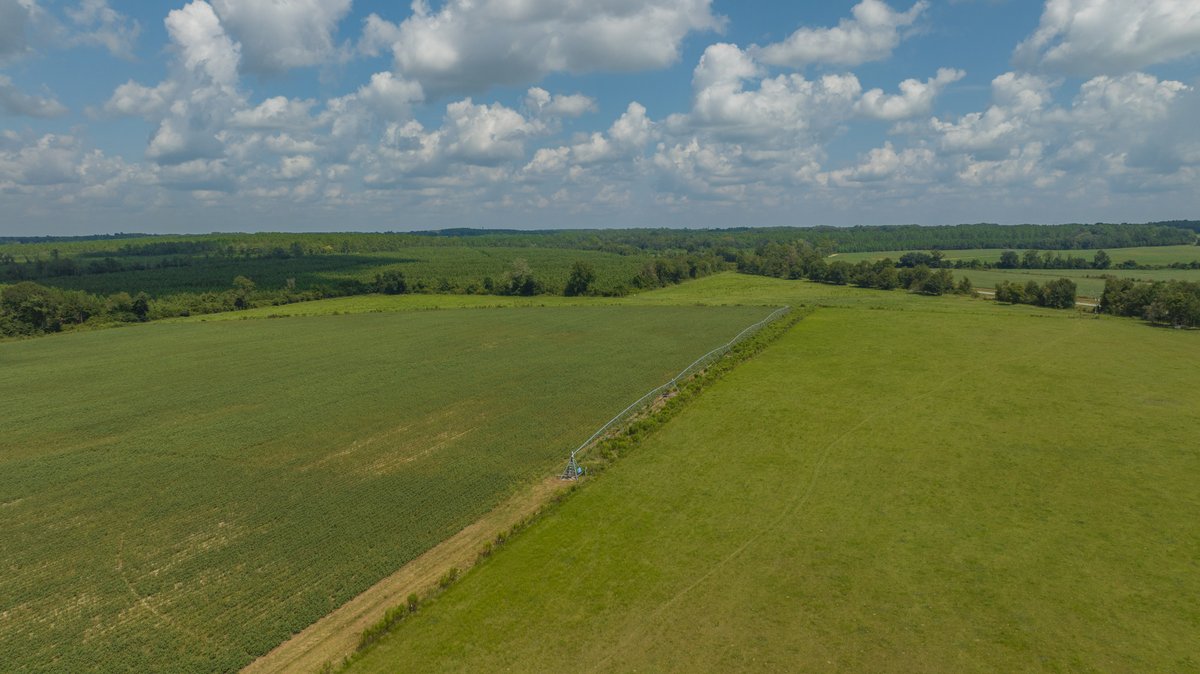 Image for 202+/- Total Acres - Prime Irrigated Row Crop Farmland