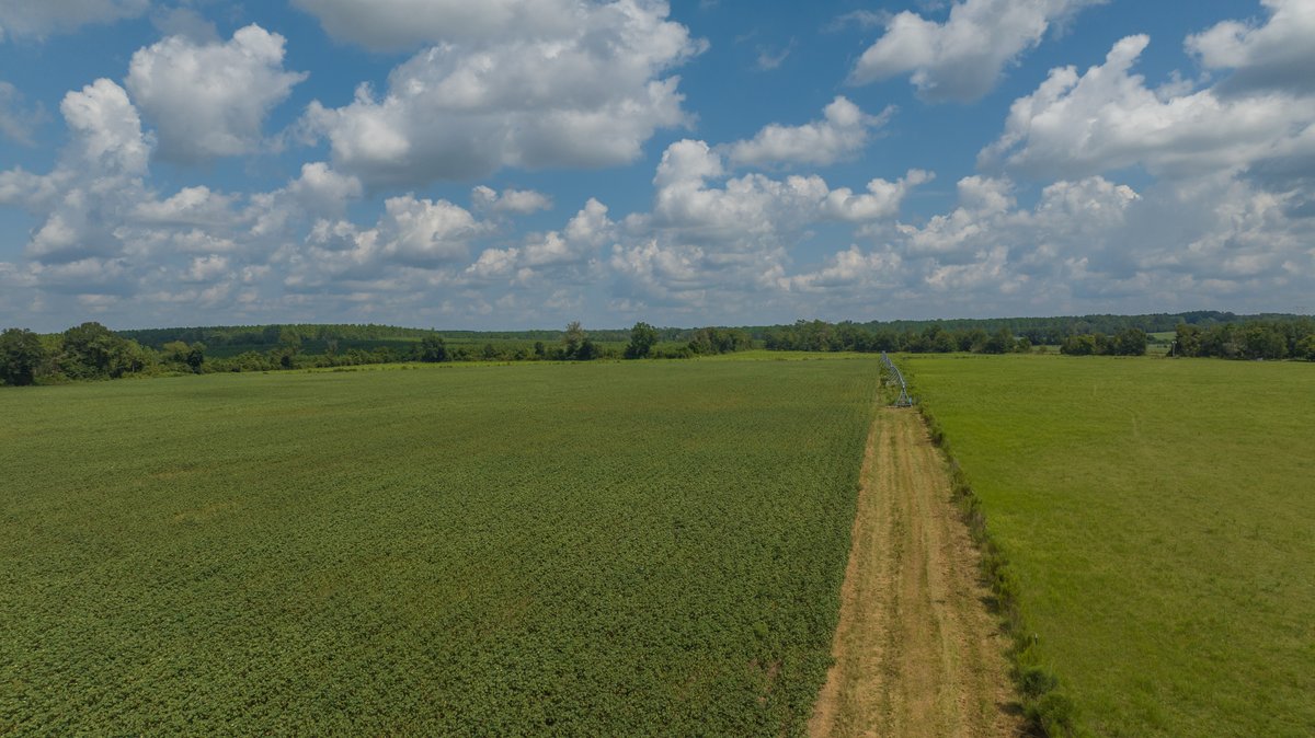 Image for 202+/- Total Acres - Prime Irrigated Row Crop Farmland