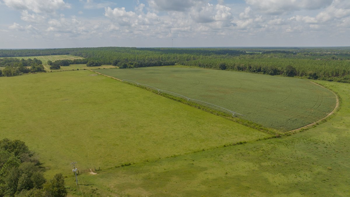Image for 202+/- Total Acres - Prime Irrigated Row Crop Farmland