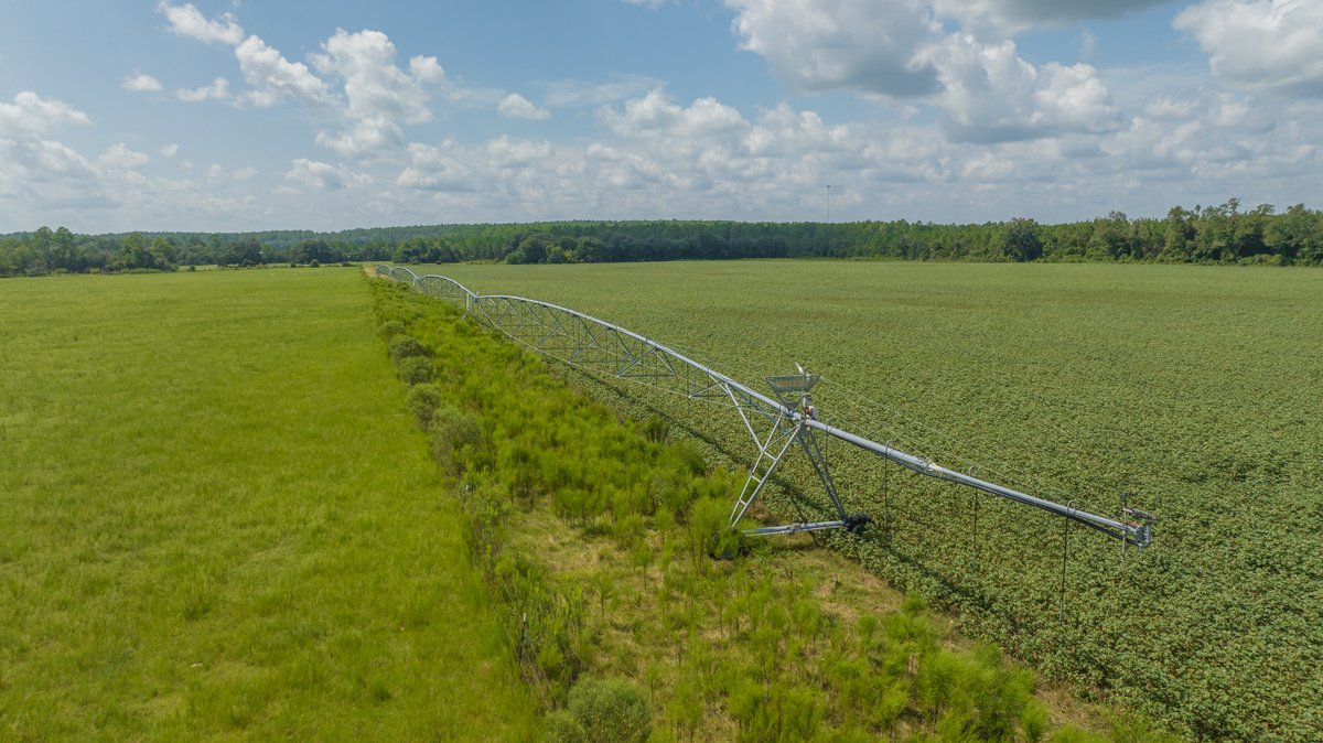 Image for 202+/- Total Acres - Prime Irrigated Row Crop Farmland