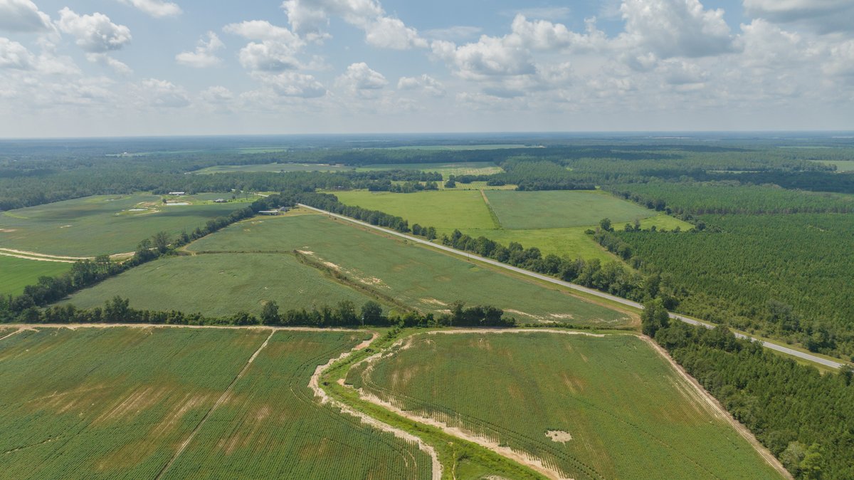 Image for 202+/- Total Acres - Prime Irrigated Row Crop Farmland