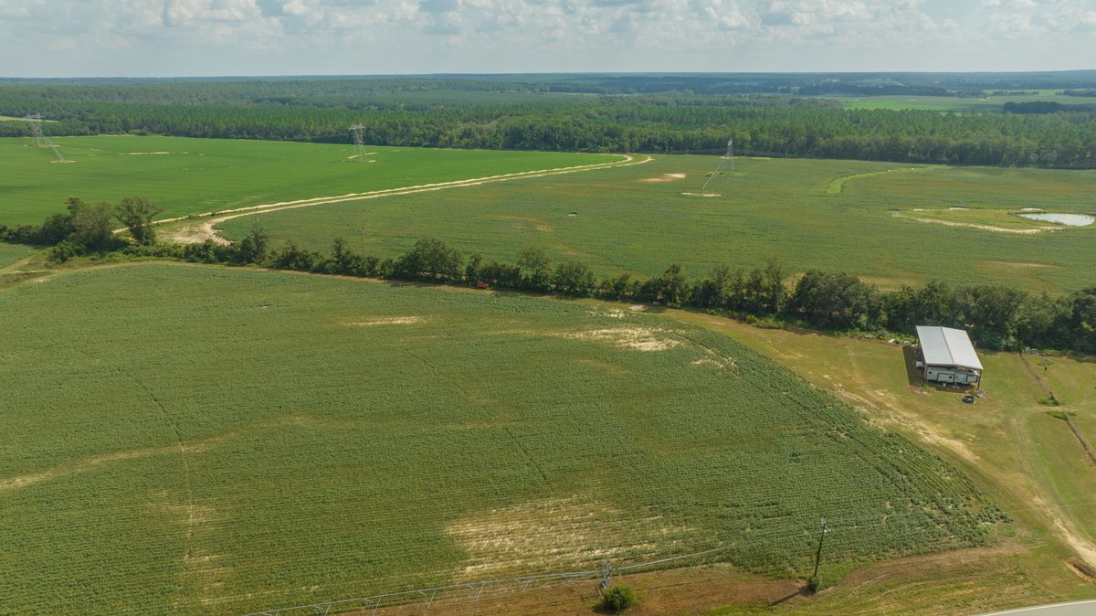 Image for 202+/- Total Acres - Prime Irrigated Row Crop Farmland