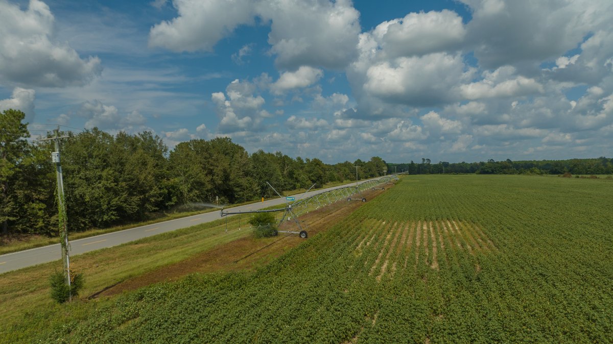 Image for 202+/- Total Acres - Prime Irrigated Row Crop Farmland