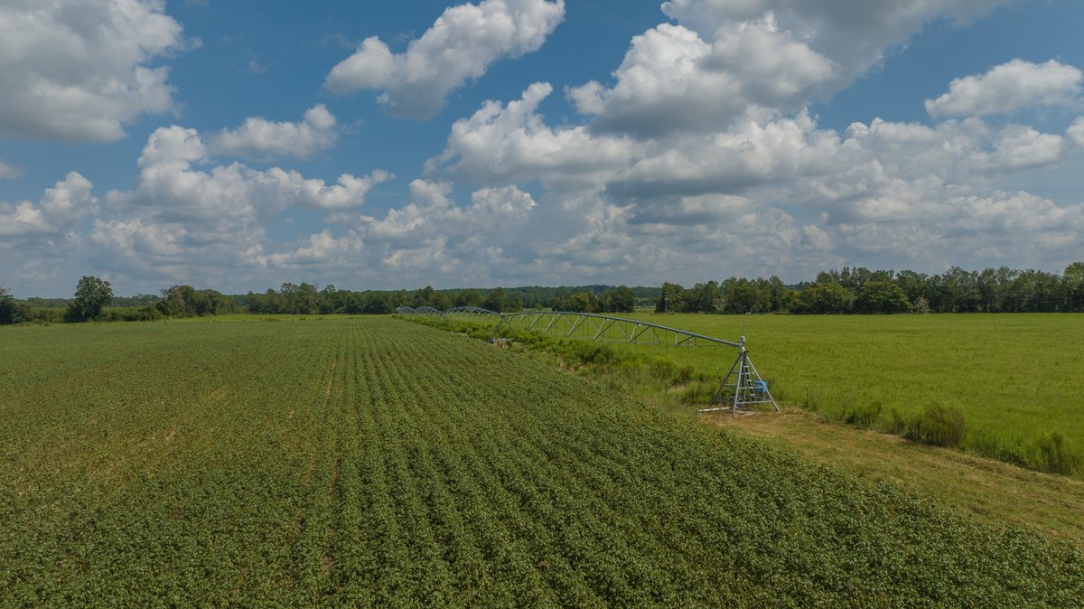 Image for 202+/- Total Acres - Prime Irrigated Row Crop Farmland