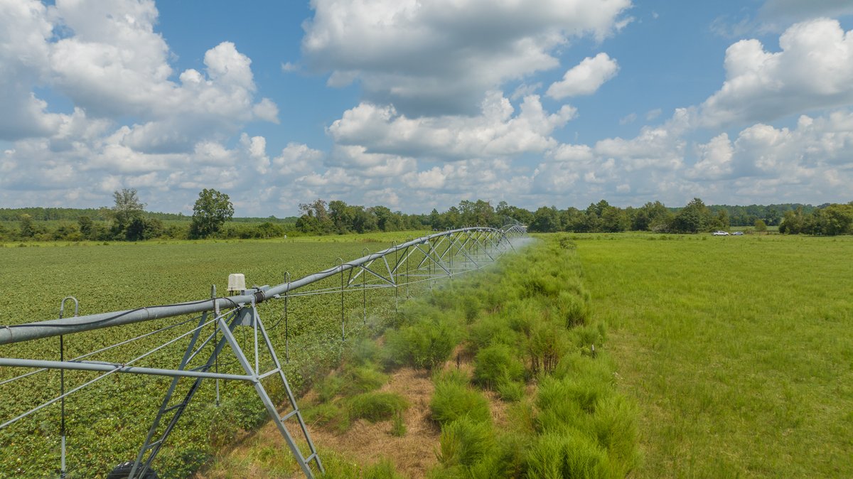 Image for 202+/- Total Acres - Prime Irrigated Row Crop Farmland