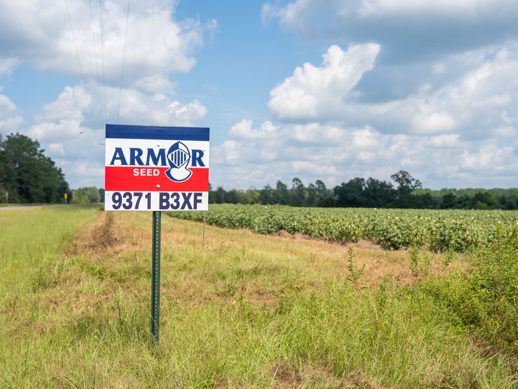 Image for 202+/- Total Acres - Prime Irrigated Row Crop Farmland