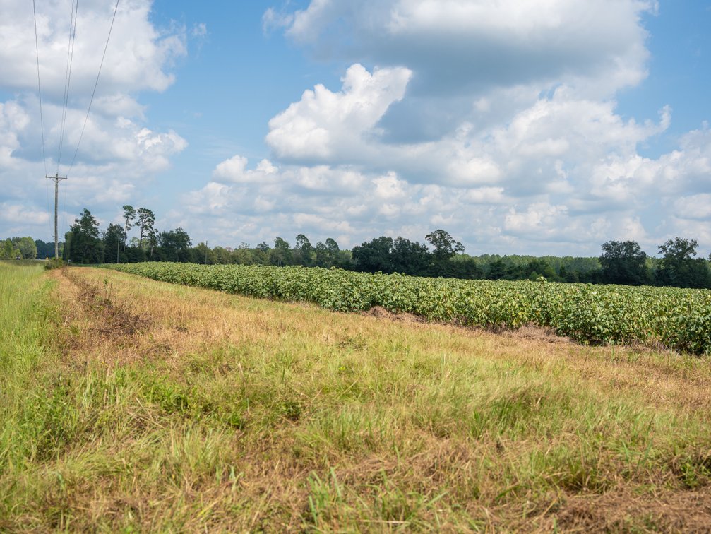 Image for 202+/- Total Acres - Prime Irrigated Row Crop Farmland