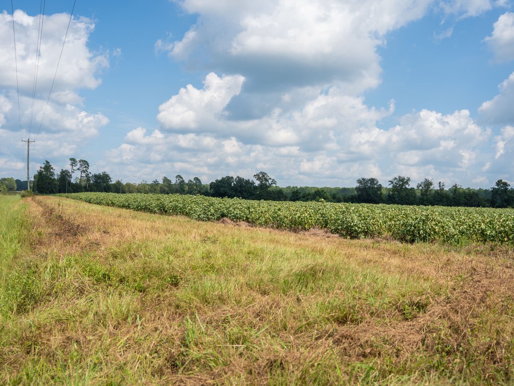 Image for 202+/- Total Acres - Prime Irrigated Row Crop Farmland