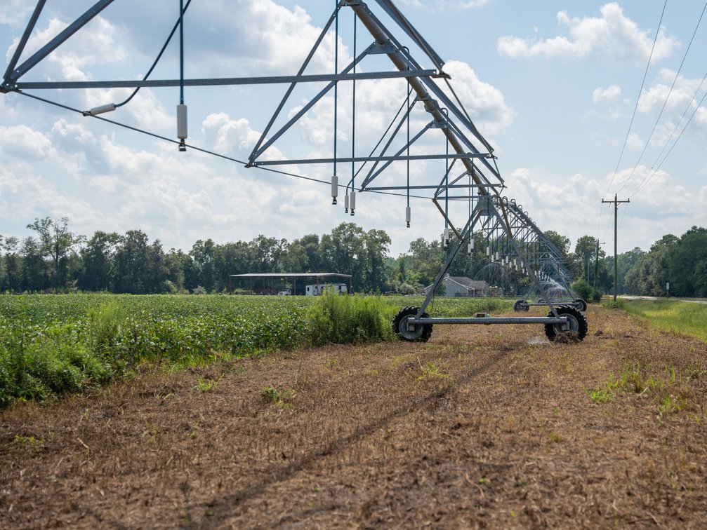 Image for 202+/- Total Acres - Prime Irrigated Row Crop Farmland