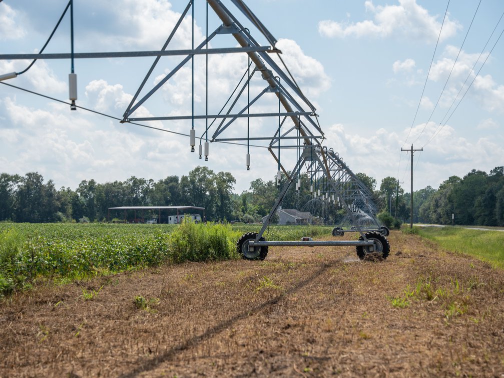 Image for 202+/- Total Acres - Prime Irrigated Row Crop Farmland