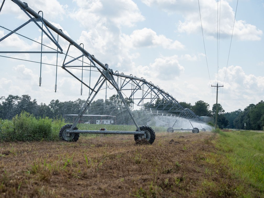 Image for 202+/- Total Acres - Prime Irrigated Row Crop Farmland