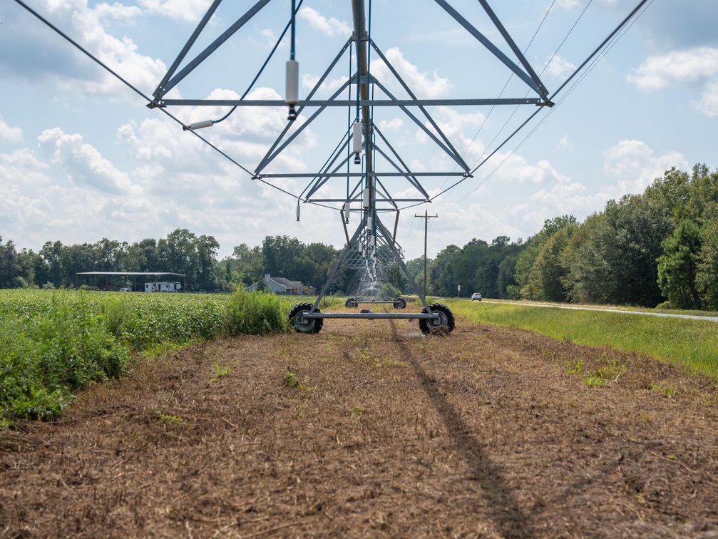 Image for 202+/- Total Acres - Prime Irrigated Row Crop Farmland