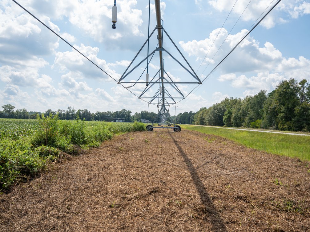 Image for 202+/- Total Acres - Prime Irrigated Row Crop Farmland