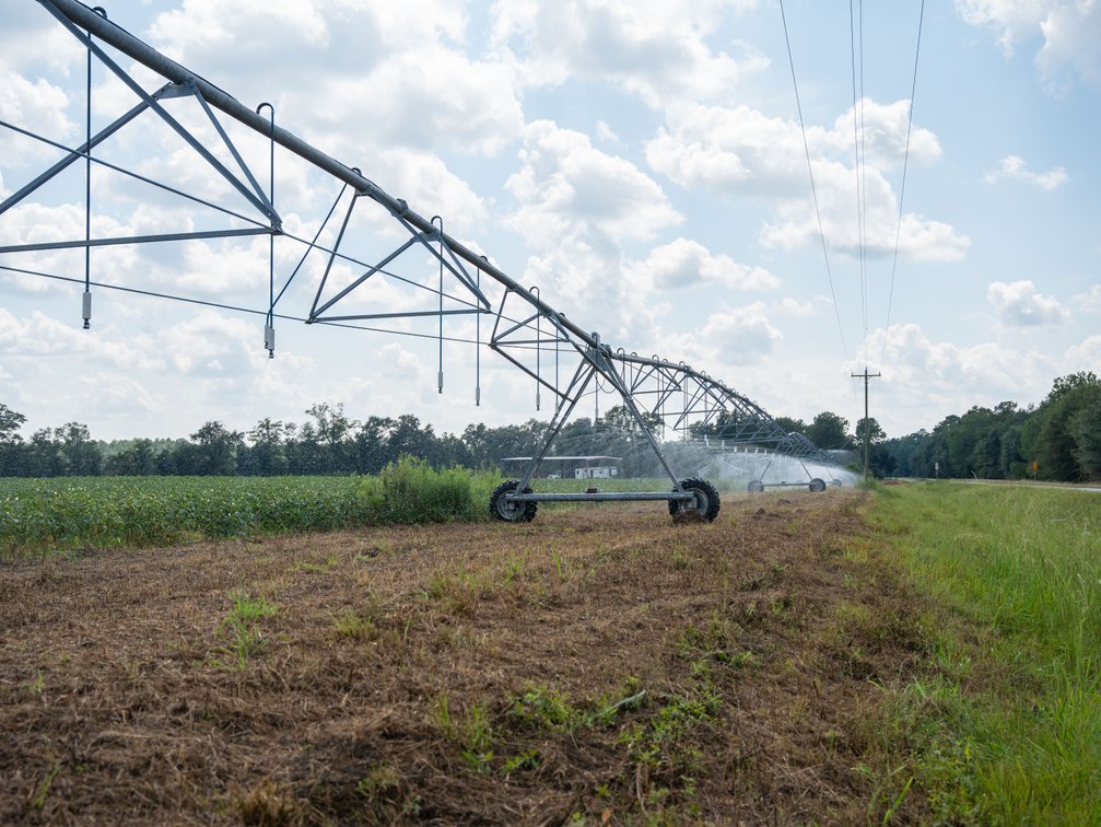 Image for 202+/- Total Acres - Prime Irrigated Row Crop Farmland