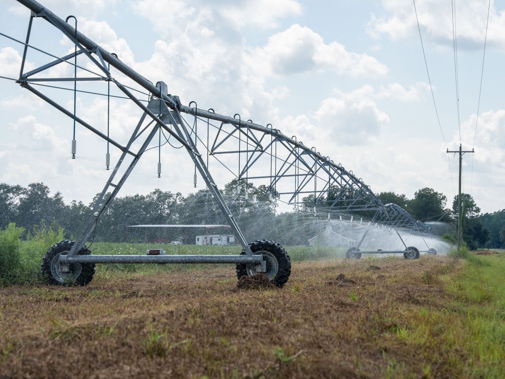 Image for 202+/- Total Acres - Prime Irrigated Row Crop Farmland