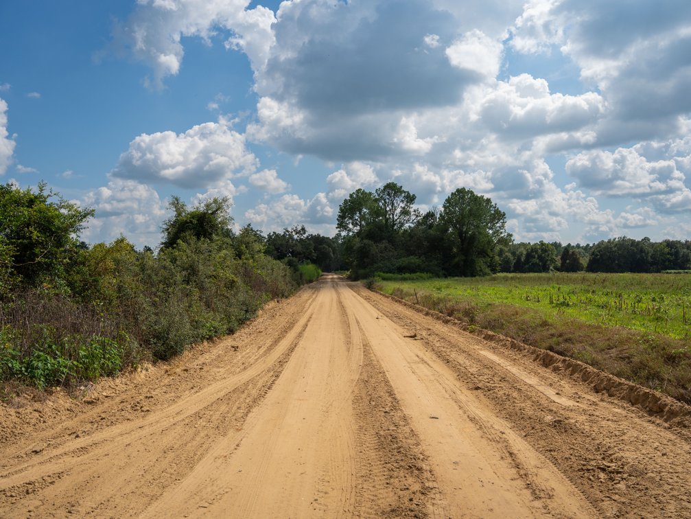 Image for 202+/- Total Acres - Prime Irrigated Row Crop Farmland