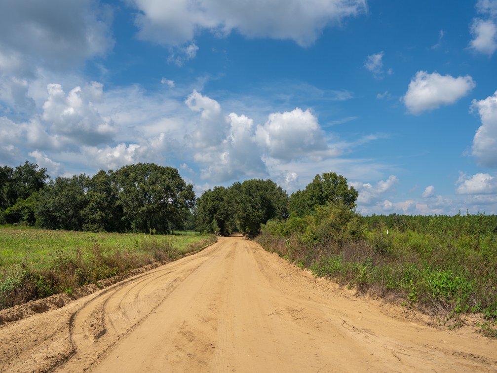 Image for 202+/- Total Acres - Prime Irrigated Row Crop Farmland