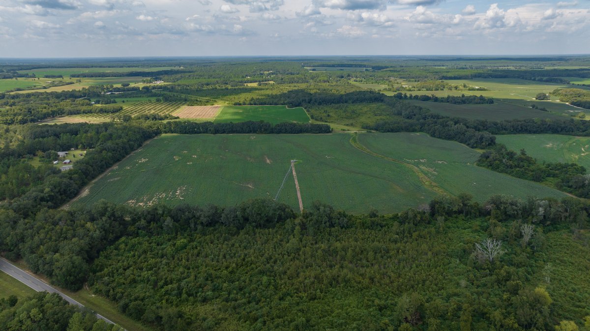 Image for 202+/- Total Acres - Prime Irrigated Row Crop Farmland