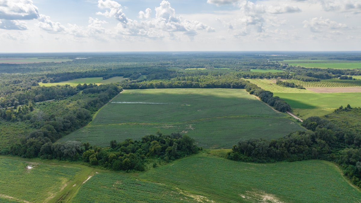 Image for 202+/- Total Acres - Prime Irrigated Row Crop Farmland