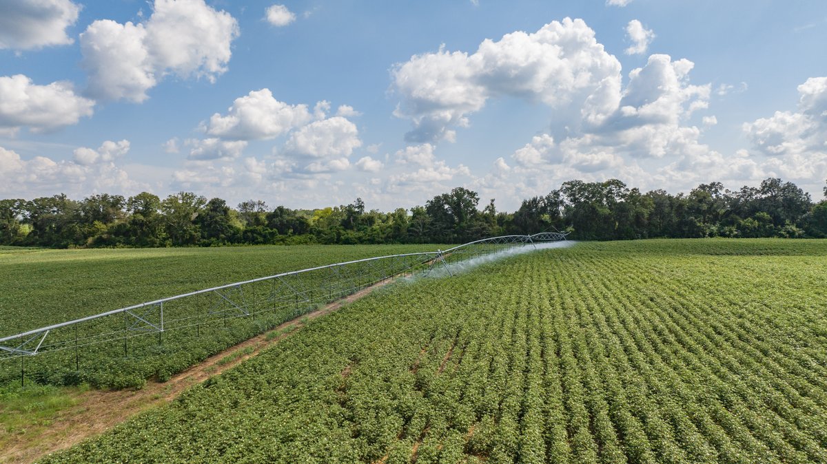 Image for 202+/- Total Acres - Prime Irrigated Row Crop Farmland
