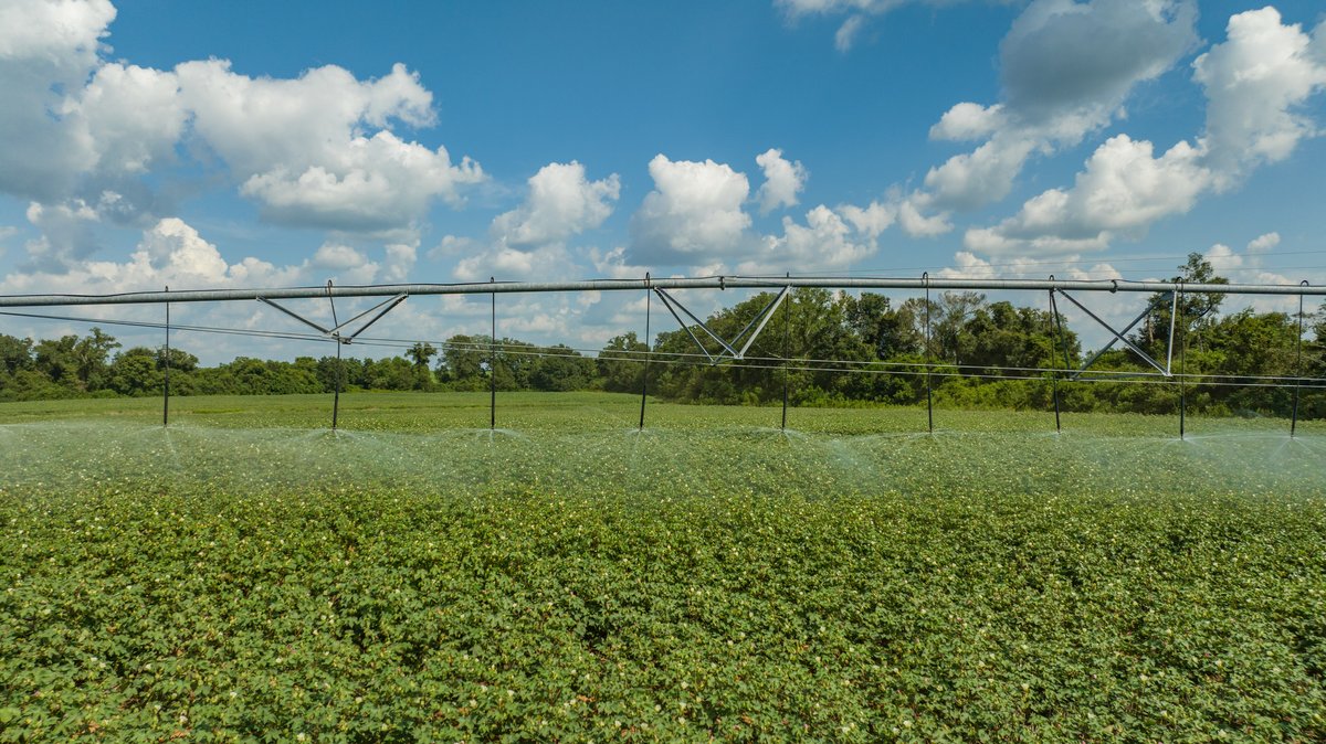 Image for 202+/- Total Acres - Prime Irrigated Row Crop Farmland
